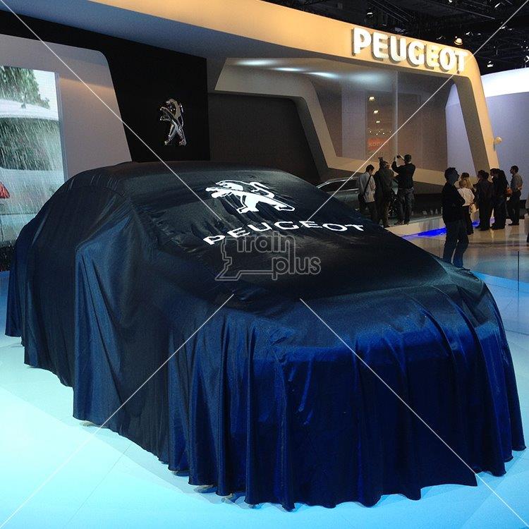 Чехол на автомобиль