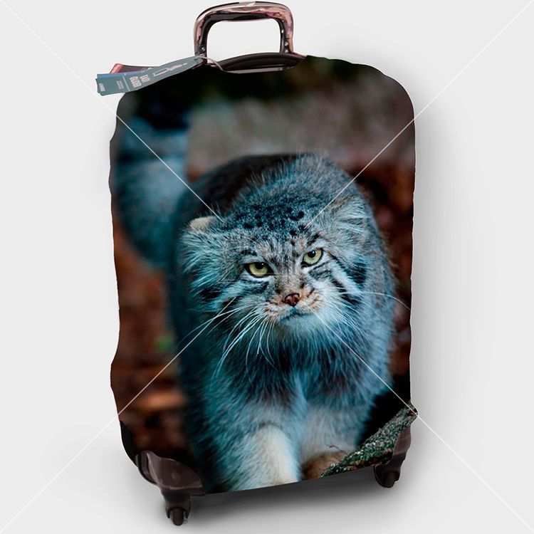 чехол, чемодан, производство, купить, Москва, оптом